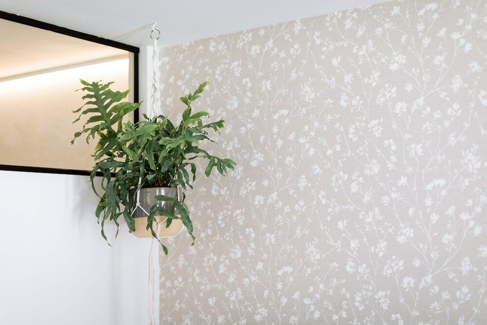 Фото Urban Jungle Apartments