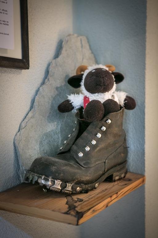 Фото Alpine Lodge