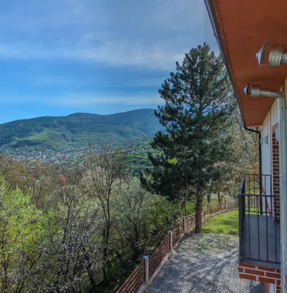 Фото Holiday Borjomi