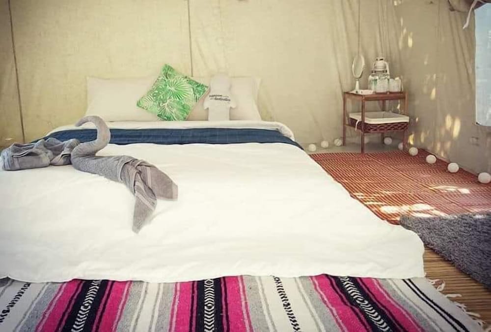 Фото Rewild Camp And Cafe