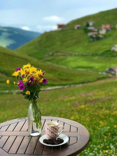 Гостиница Uzungol Karester Villa Apart в Чайкаре
