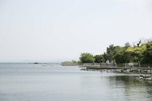 Гостиница Cocoreto The Guest House - Hostel