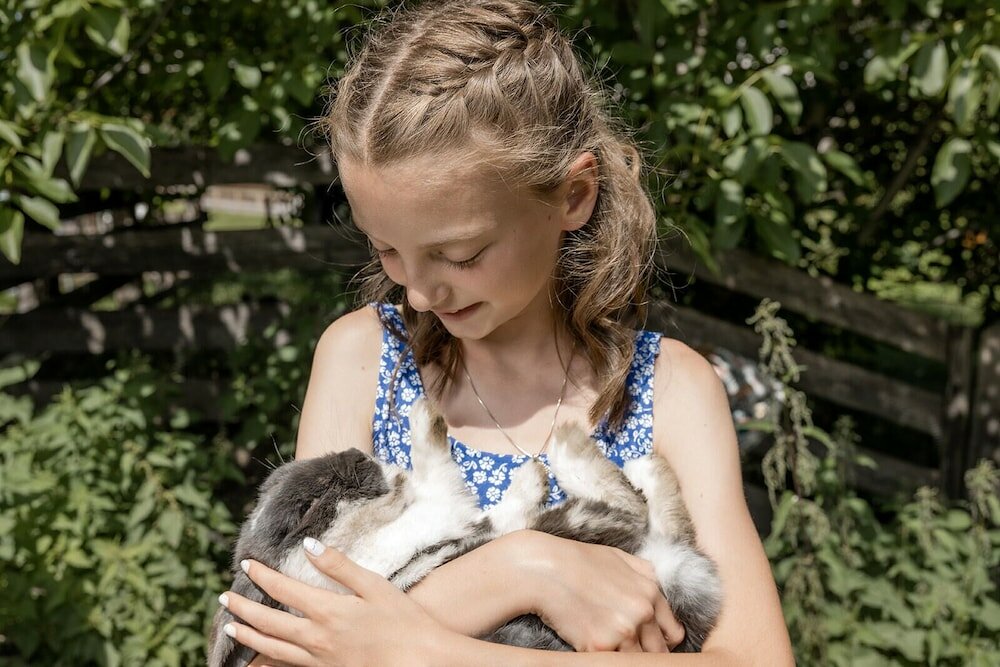 Фото Hotel Roslehen