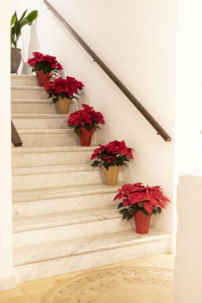 Фото Albariza Hotel Boutique