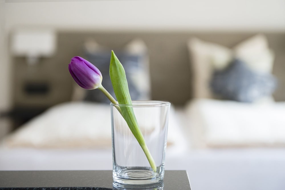 Фото Red Elephant