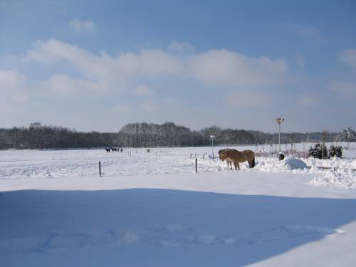 Фото Fletcher Hotel - Restaurant Steenwijk