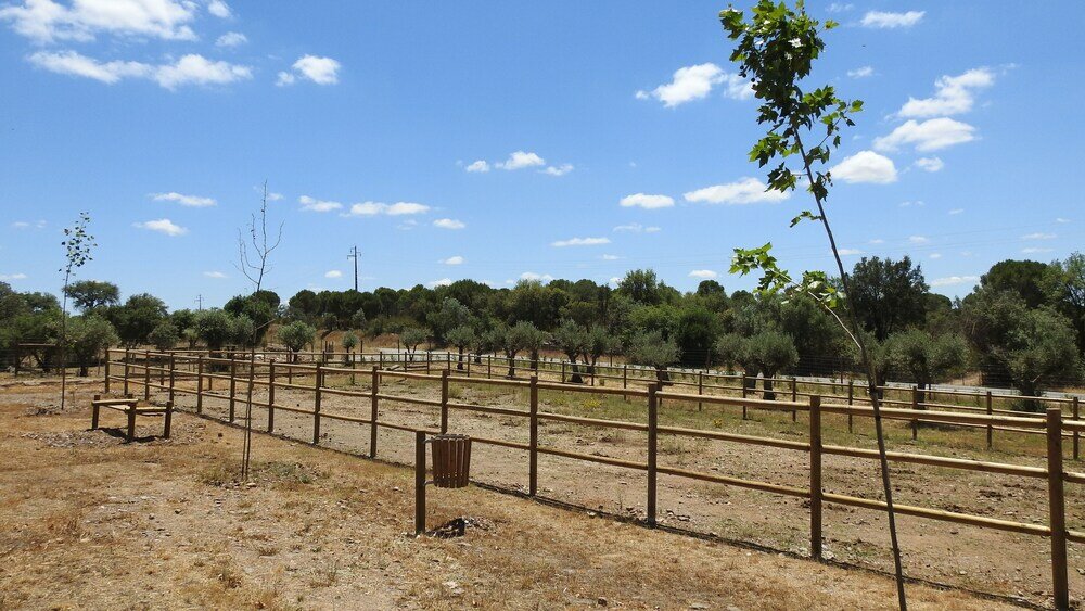 Фото Reflexos d'Alma Turismo Rural
