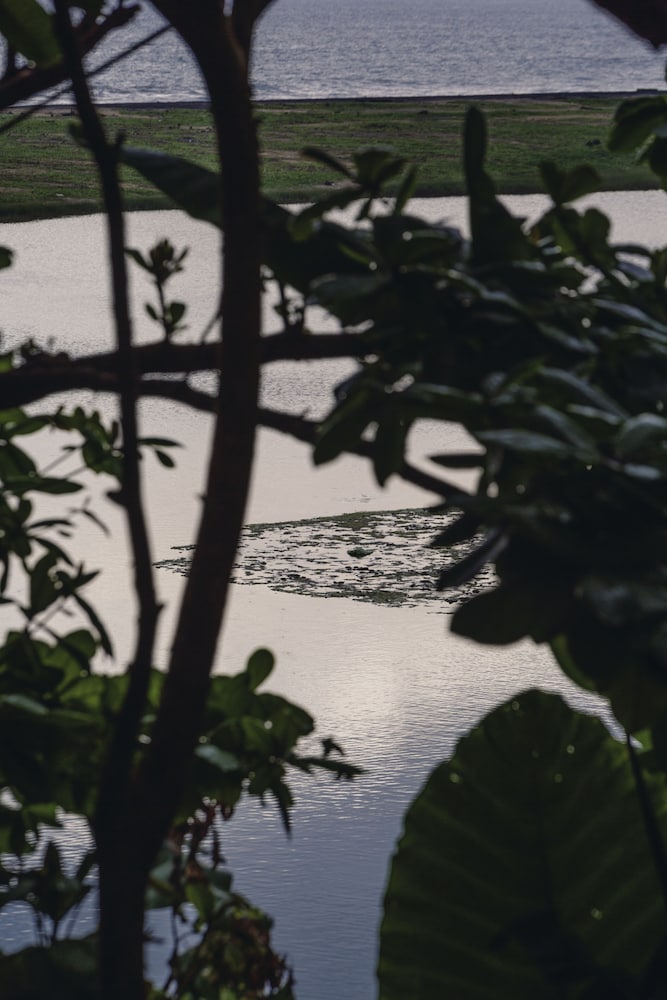 Фото The Postcard Galle