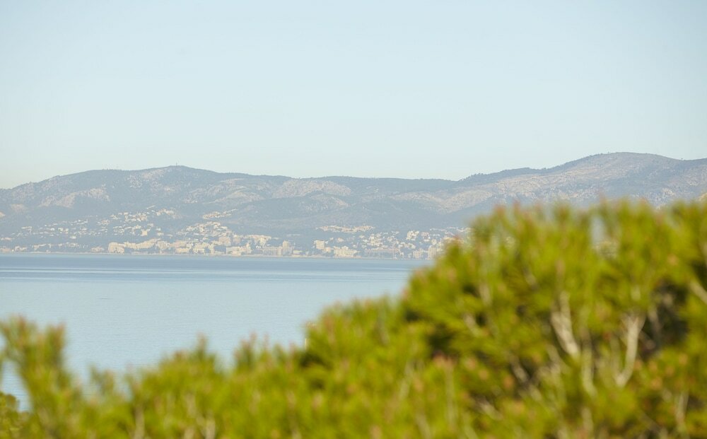 Фото MLL Palma Bay Club Resort Hotel