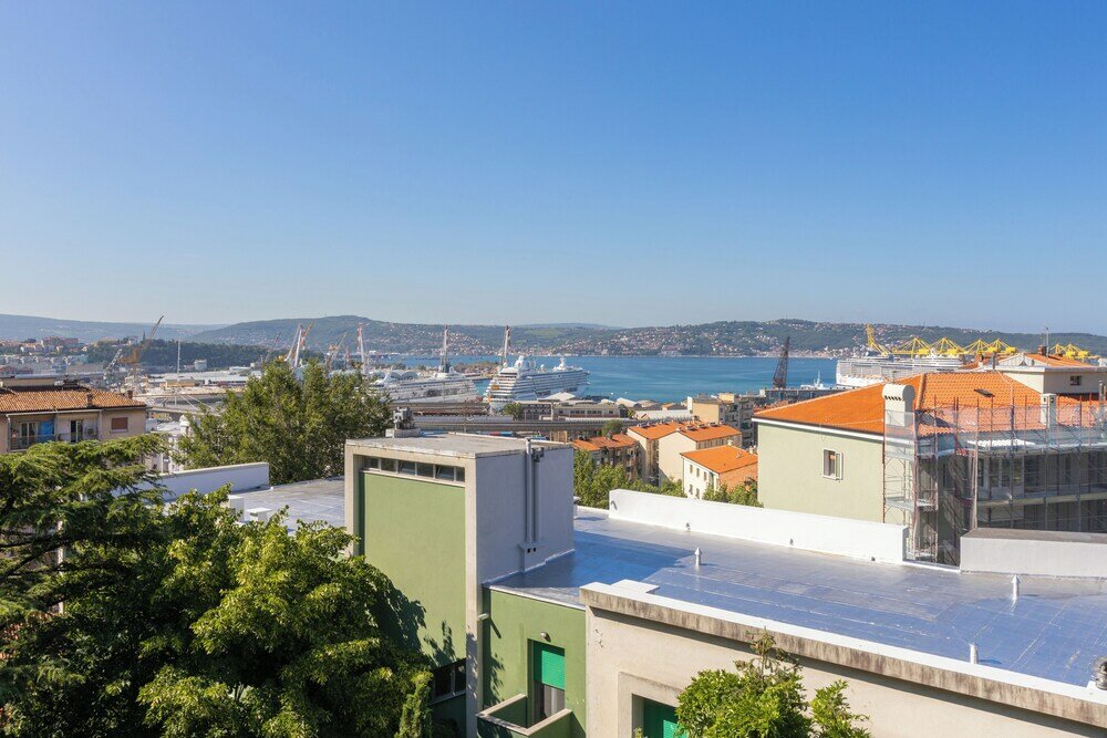 Фото The Black Swan