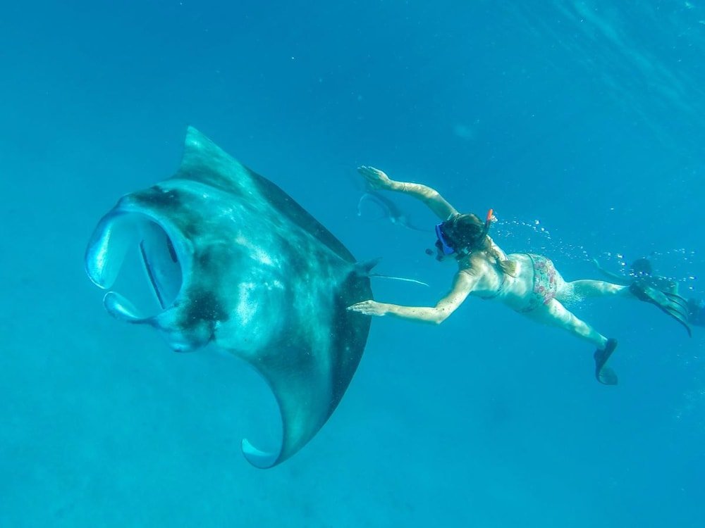 Фото Starshell Hotel