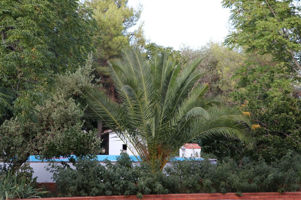 Фото Agroturismo la finka