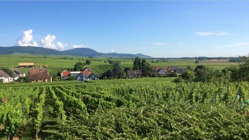 Гостиница B&B Le Clos des Raisins в Кольмаре-Рибовилле