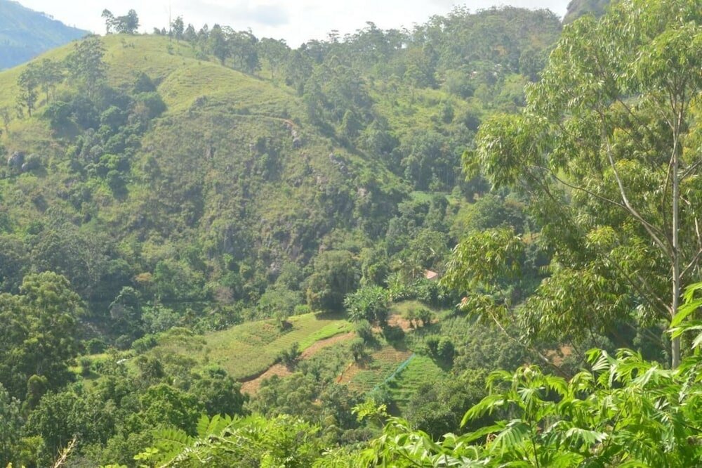 Фото Cloudy Hill Cottage