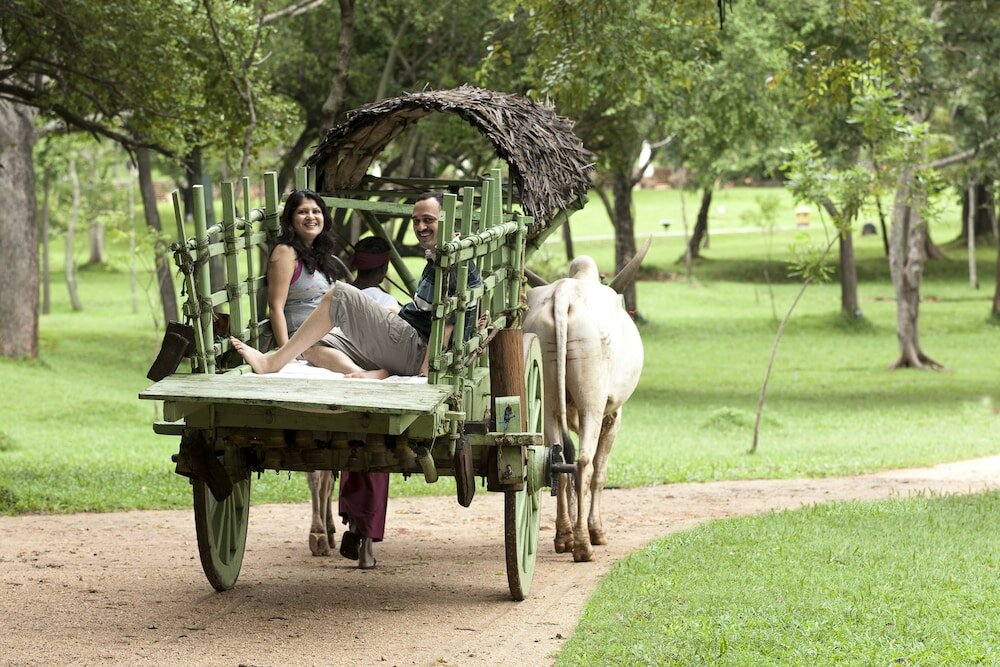 Фото Amaya Lake Dambulla