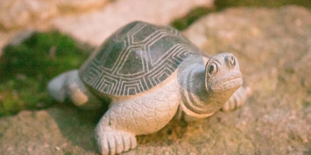 Фото Guesthouse Hana Nishijin