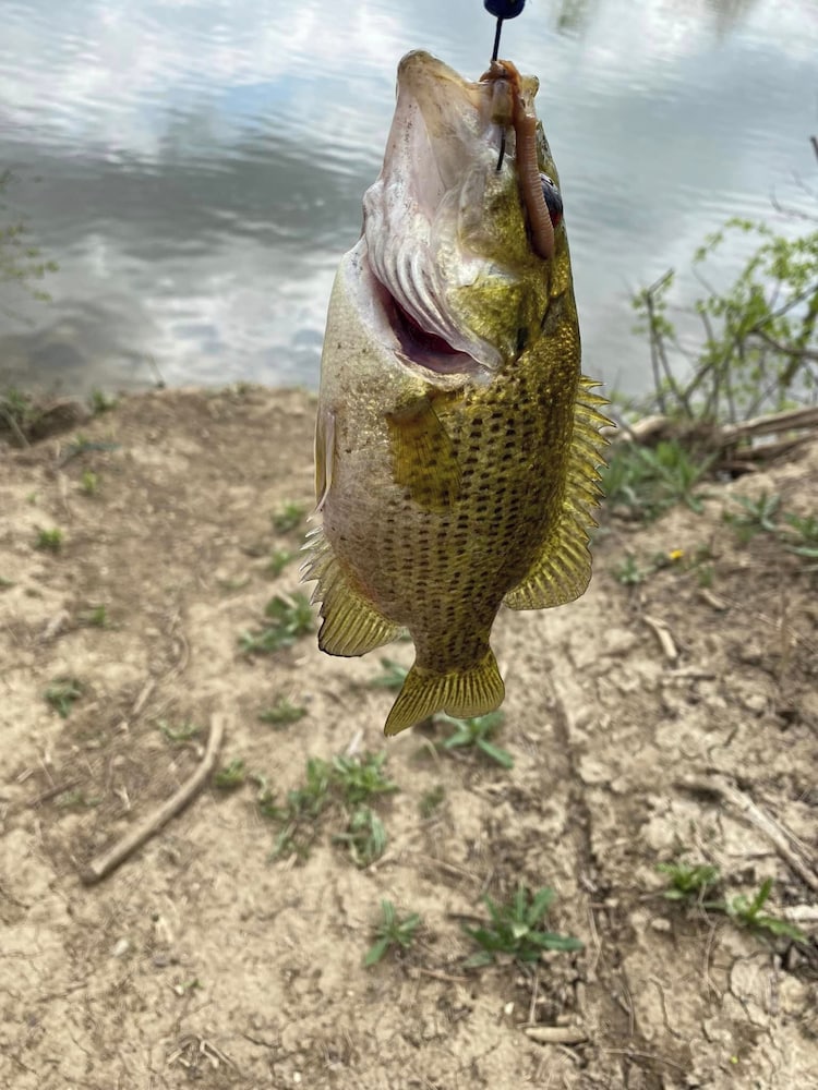 Фото The Sanctuary On Huron River