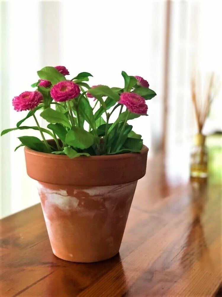 Фото Bungalow 1 dormitorio Montgó