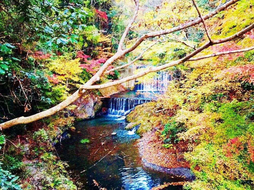 Фото Vanguard Backpackers - Hostel