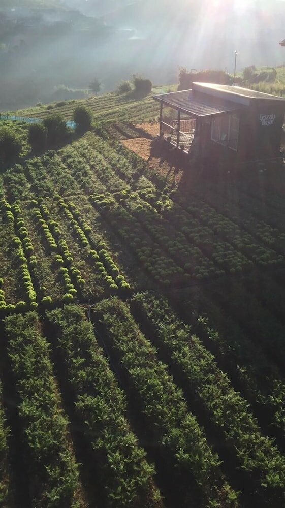 Фото The Cozy castle