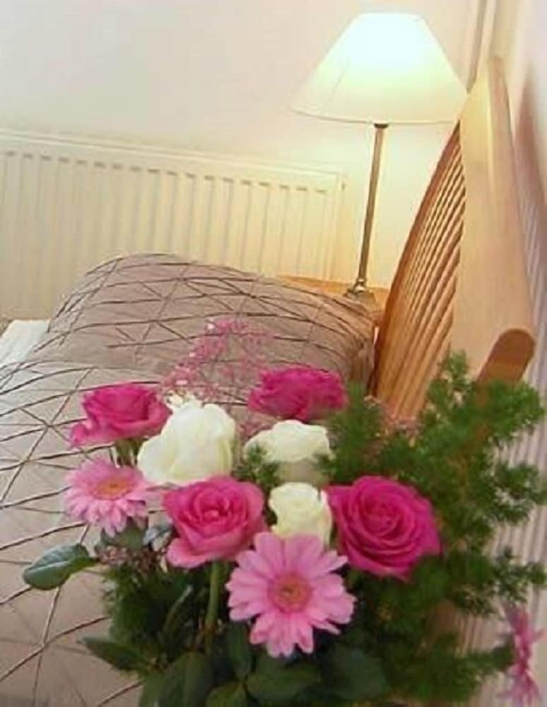 Фото The Olive Branch