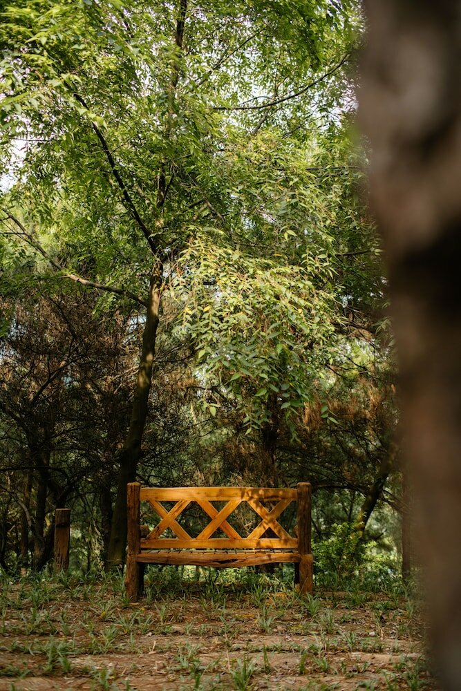 Фото Amaya Retreat