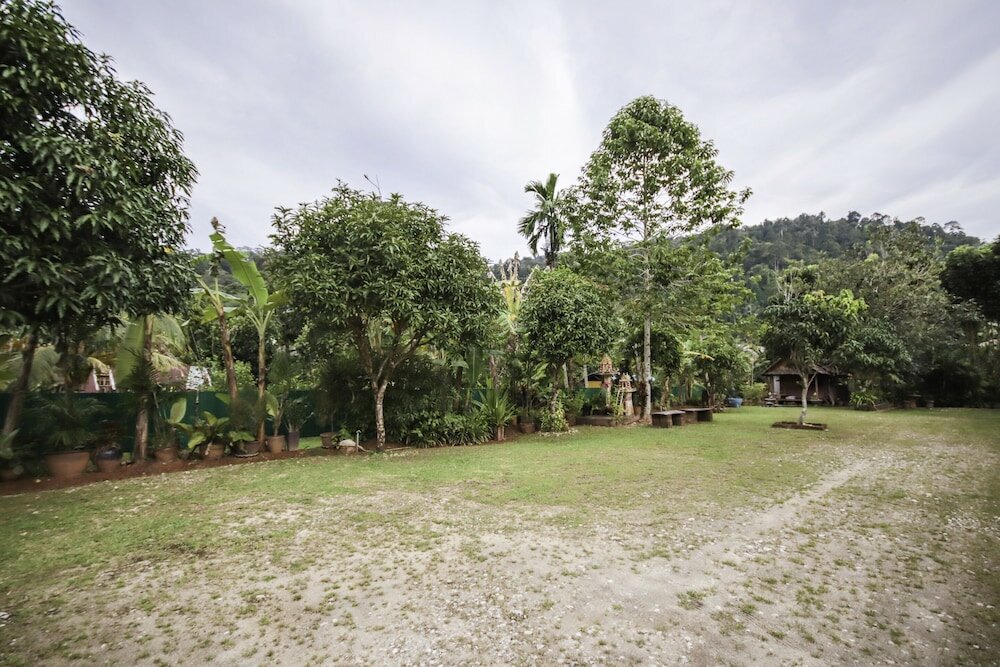 Фото Banana Lodge