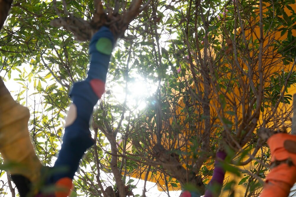 Фото Lodge Mondo - Hostel