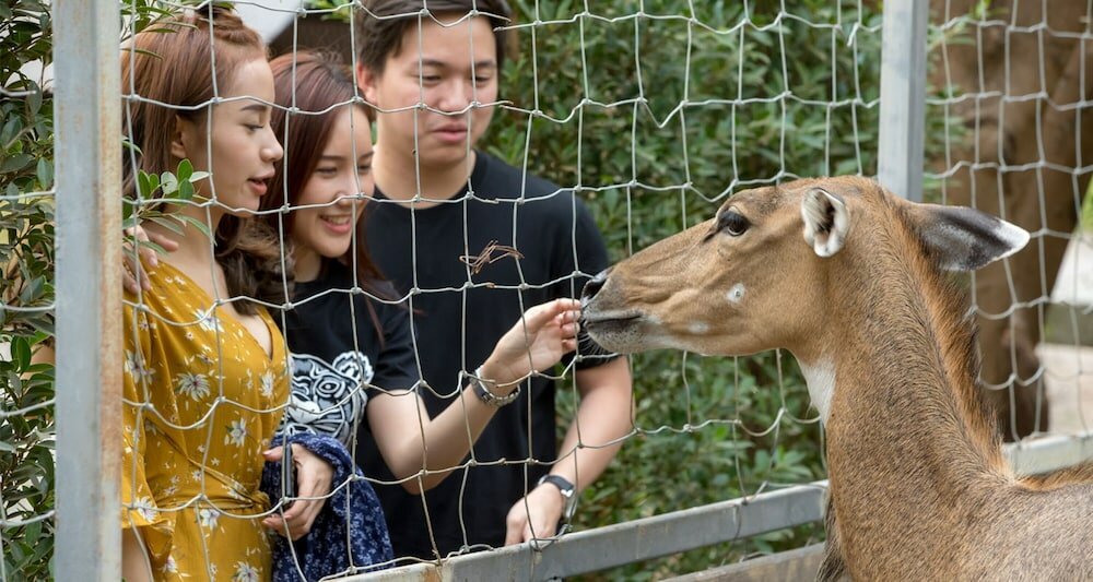 Фото Resort Huangchui Baan Phu Khao