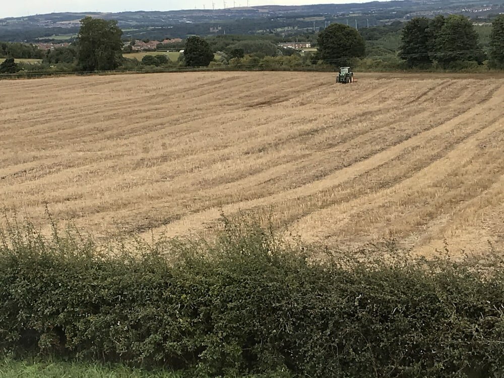 Фото 1 Twizell Lane