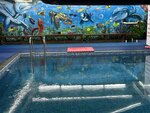 BuketGymSwim Bebek ve Çocuk Yüzme Eğitimi (İstanbul, Maltepe, Altayçeşme Mah., Yara Sok., 1) ، حمام السباحة