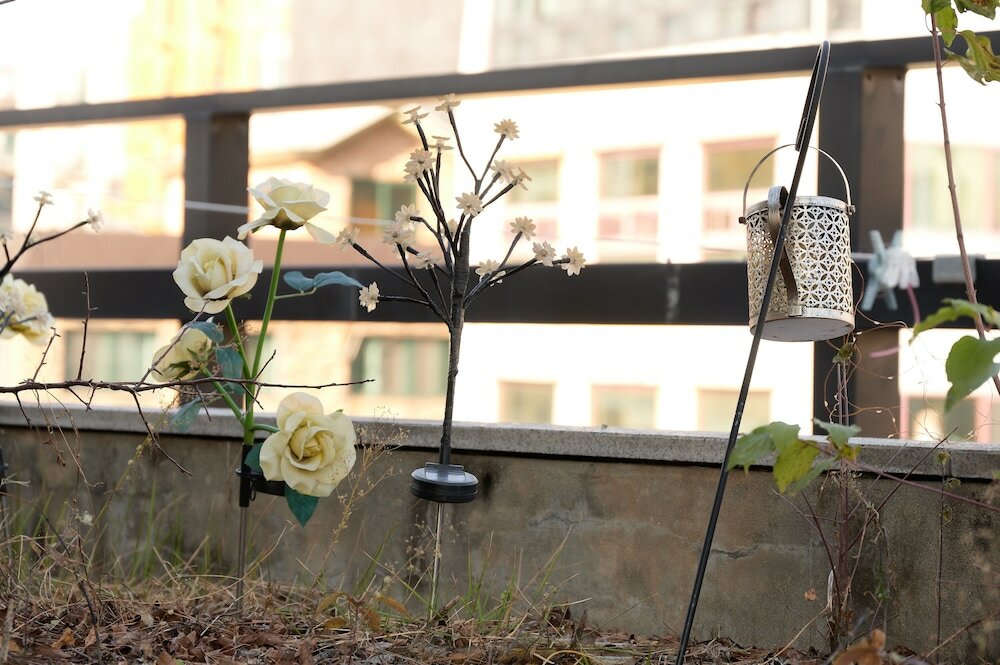 Фото Snowflower Guesthouse