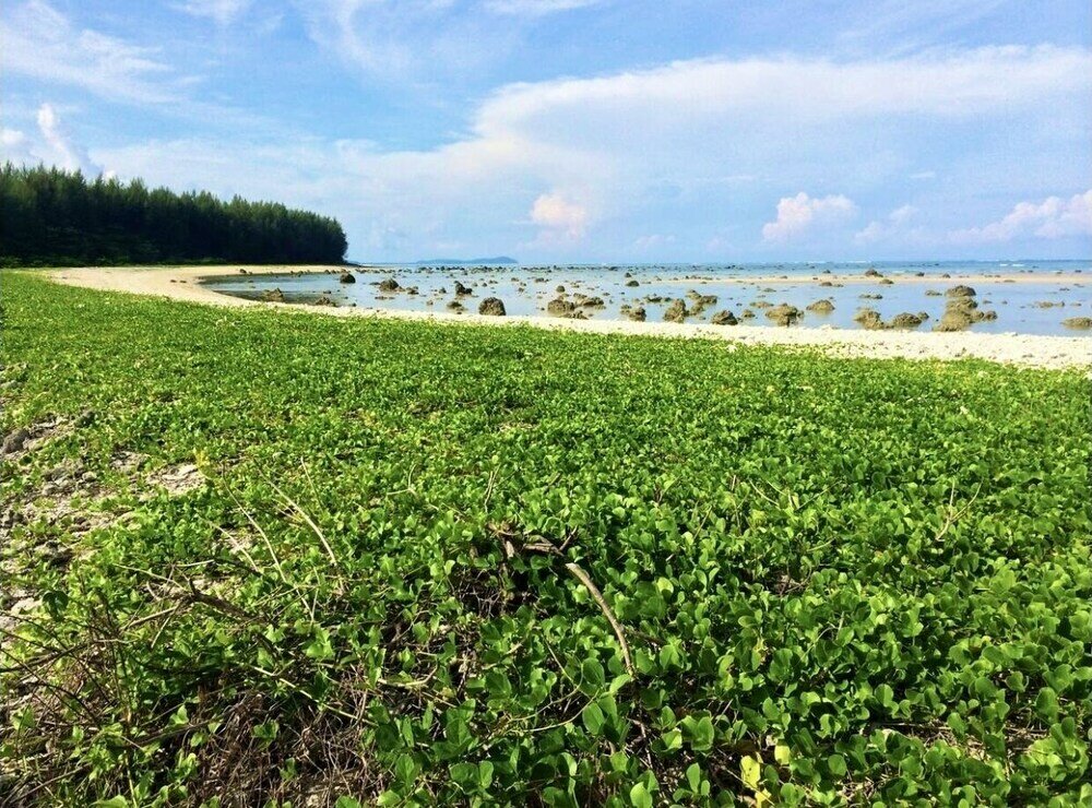 Фото Cape Pakarang Wow Wild Wellness Escapes