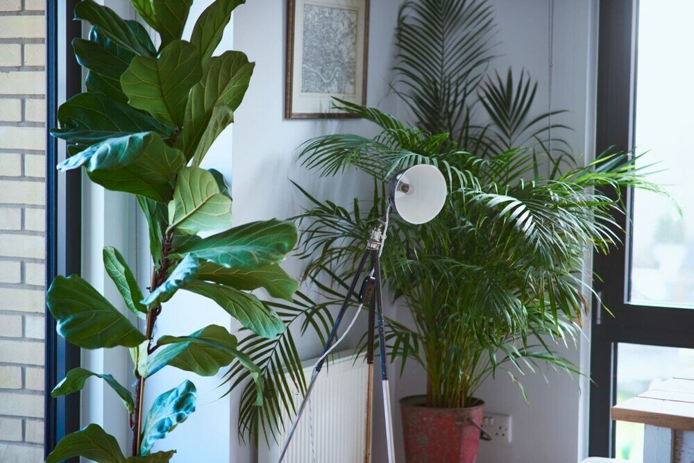 Фото Beautiful 1 Bedroom With Balcony Near Mile End