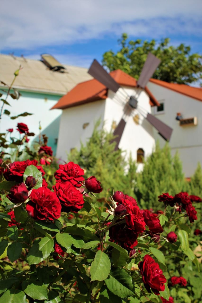 Фото Фонарь и мельница