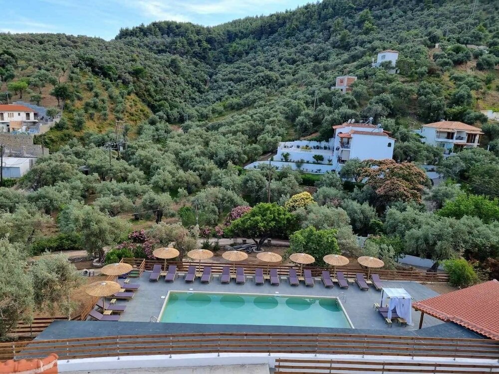 Фото Pension Mango