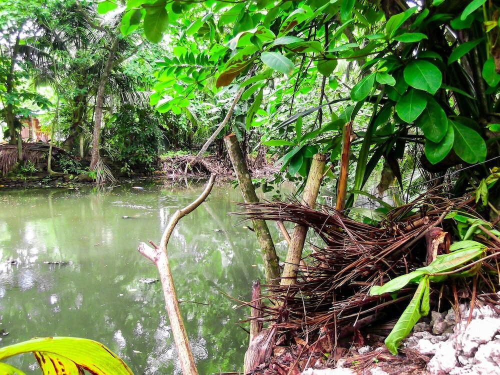 Фото Seashore Mirissa