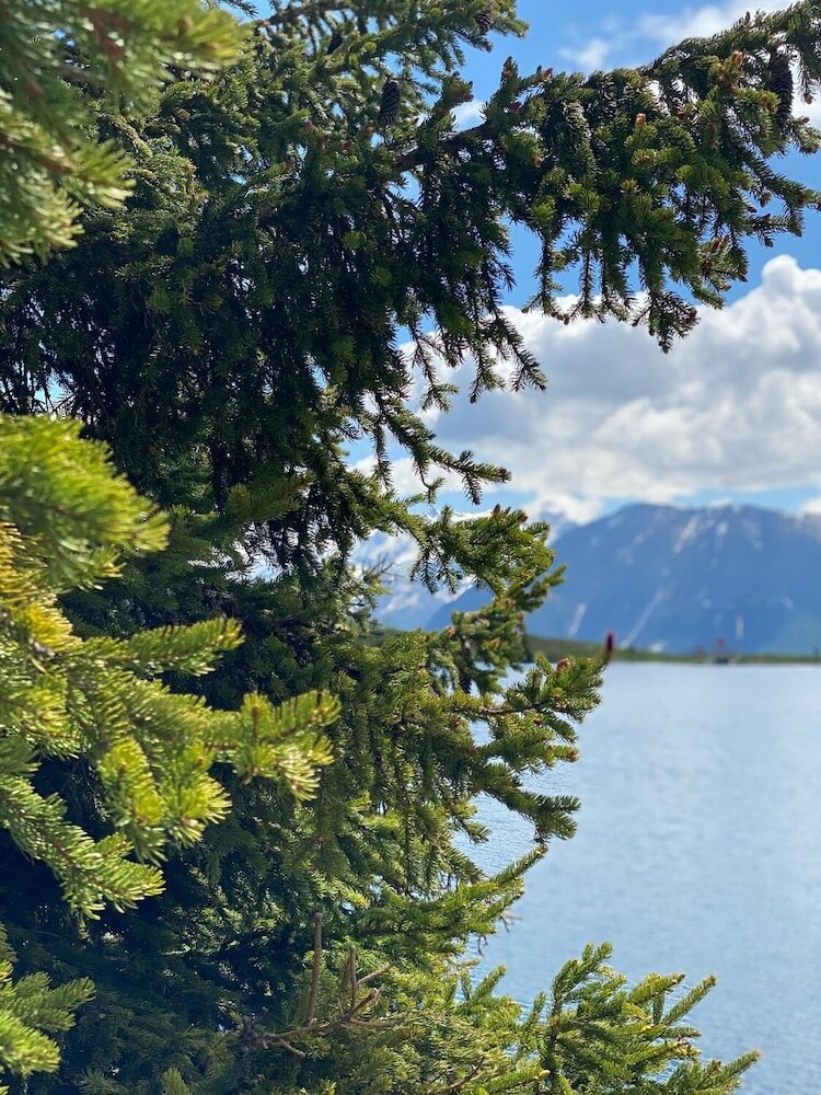 Фото Gunneheim Antares