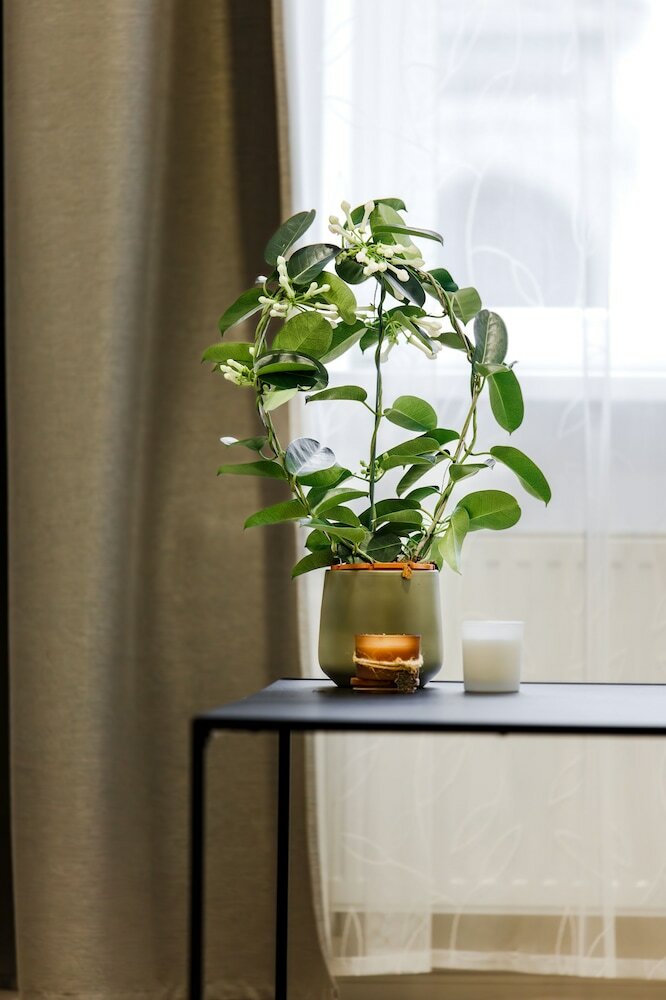 Фото Rigaapartment Elizabetes 22