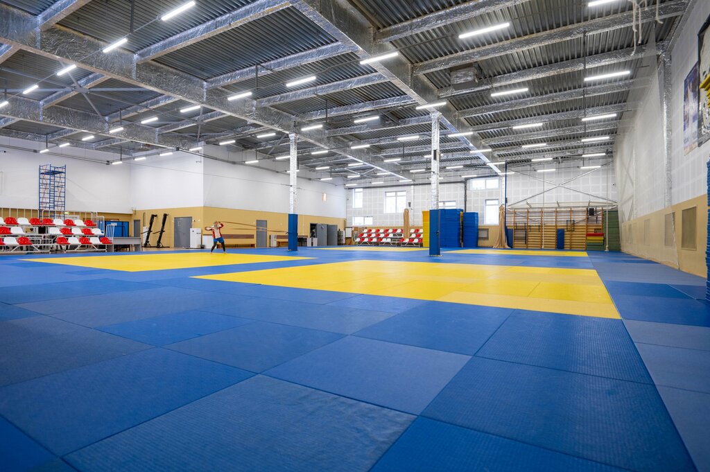 Sports center CSiO Sambo-70 Moskomsporta, otdelenie Shabolovka, Moscow, photo