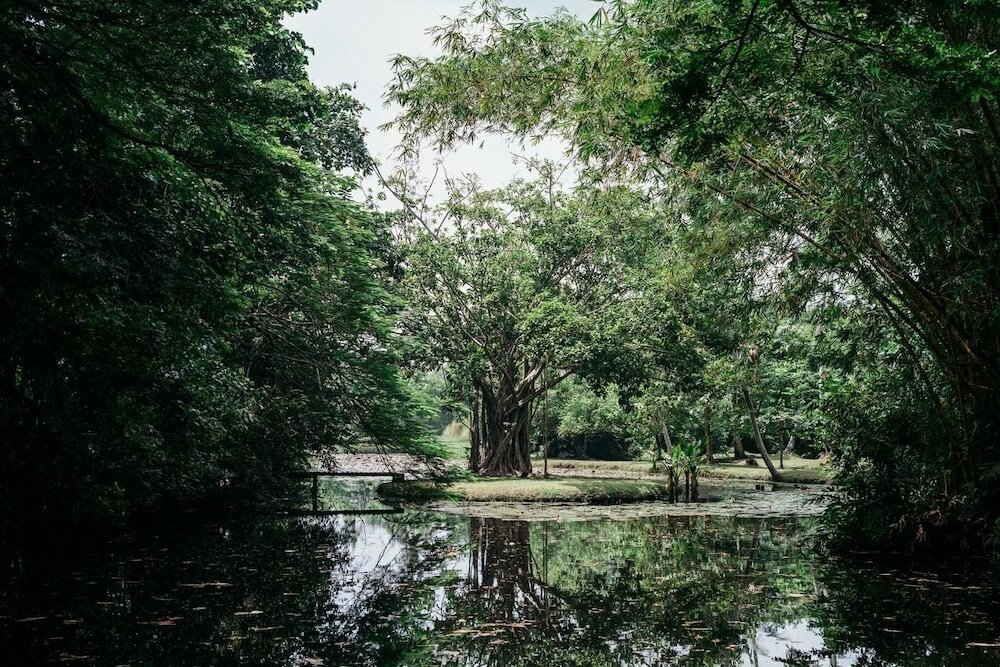 Фото Boutique 87