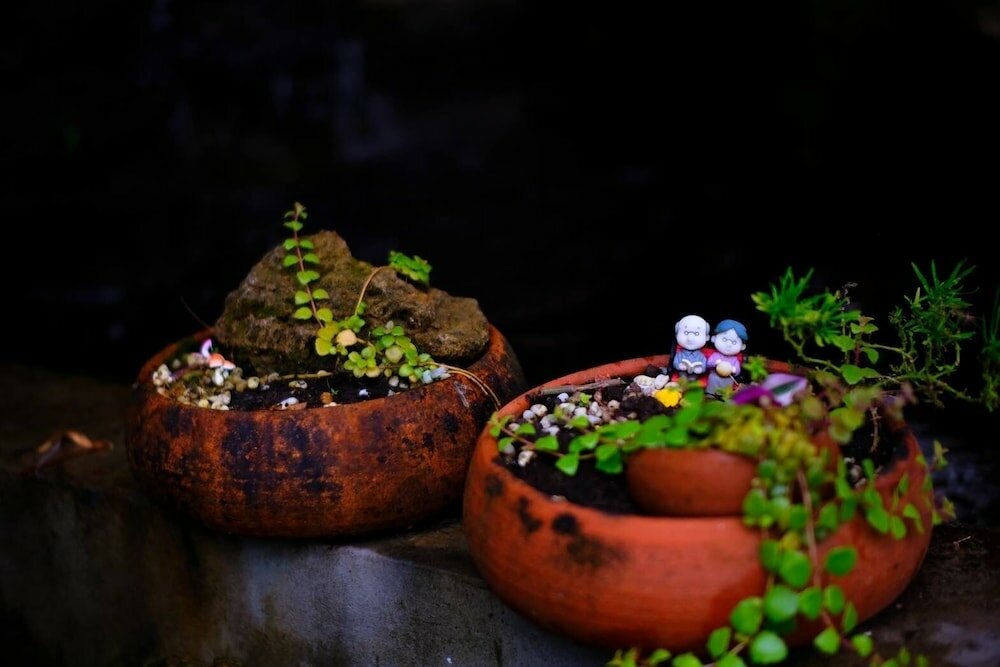 Фото Kasalong Resort and SPA