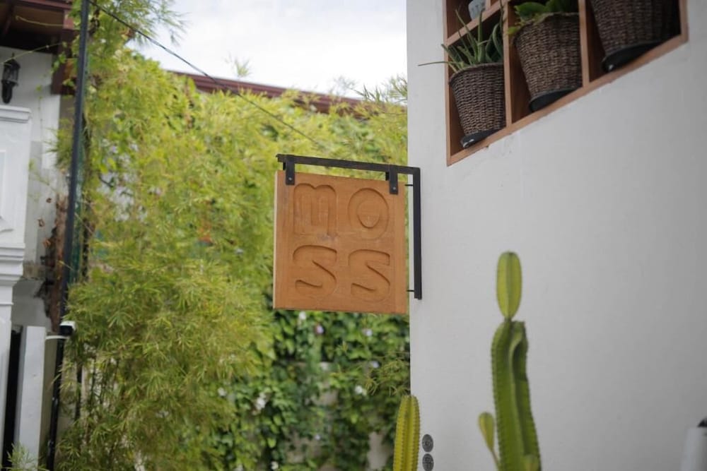 Фото Moss Colombo