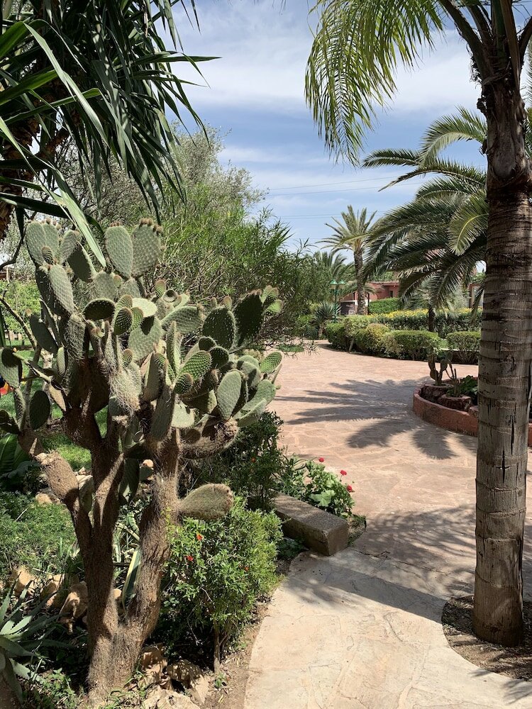 Фото Equi Palace & SPA