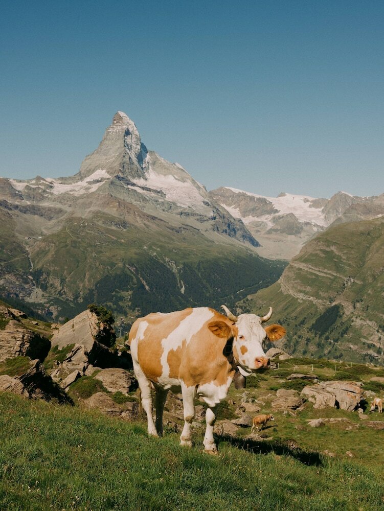 Фото Beausite Zermatt