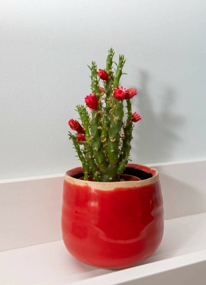 Фото Bright New 1 Bedroom Flat in Elephant and Castle