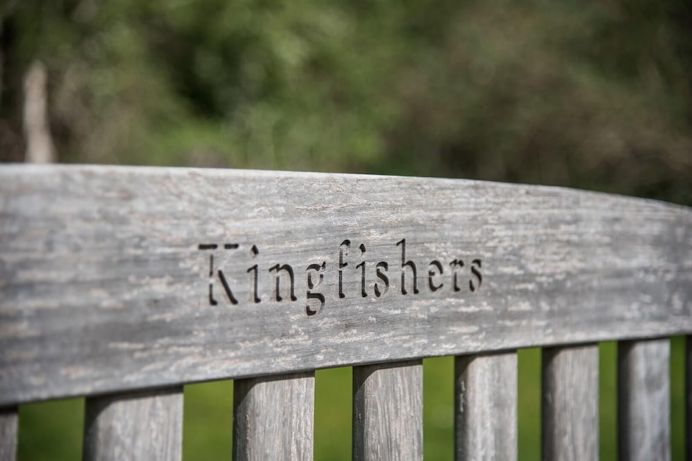 Фото Magnolia, Kingfishers