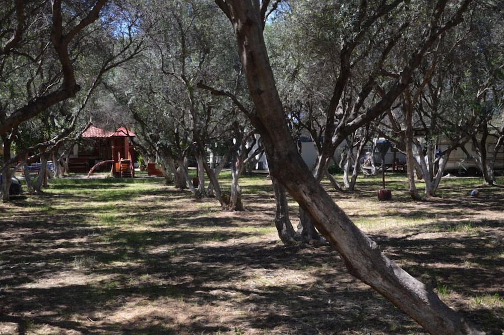 Фото Camping Chania