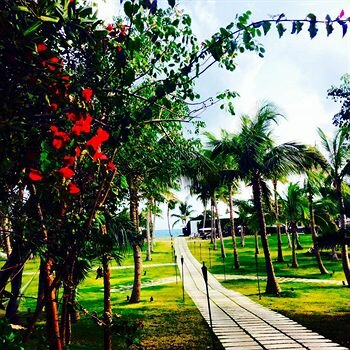 Фото The Cove Eleuthera