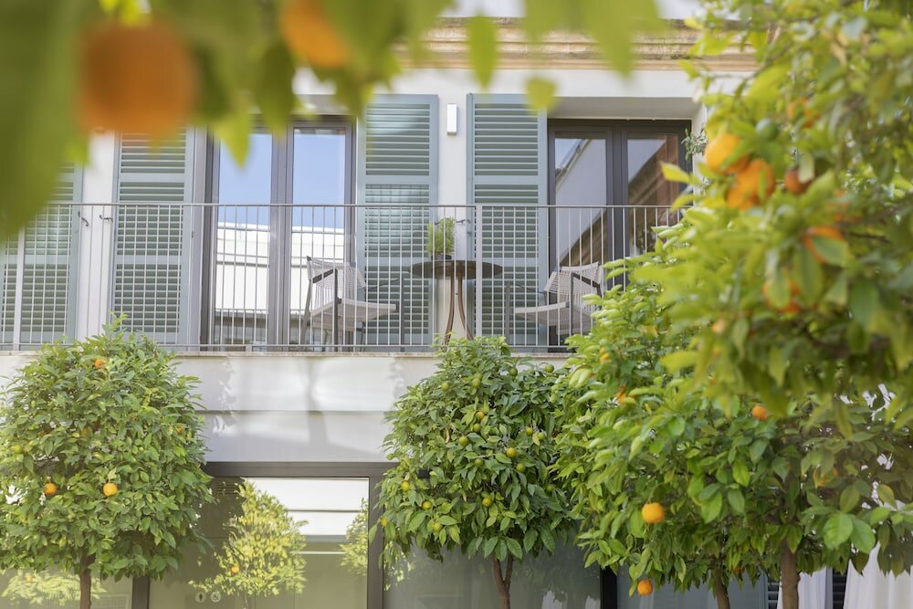 Фото Hotel Can Alomar - Adults Only